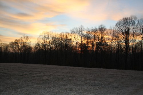 Icy pasture sunrise