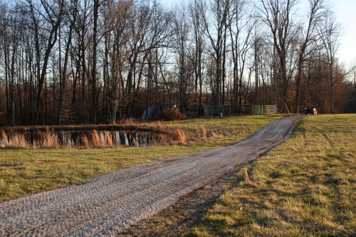 Road building past pond