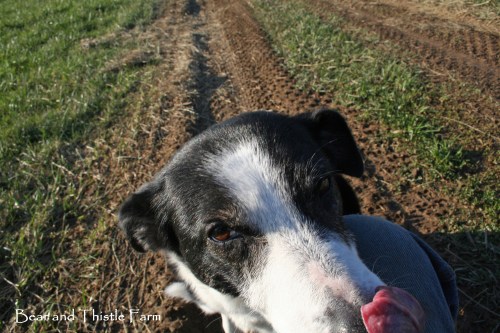New years day mud ruts