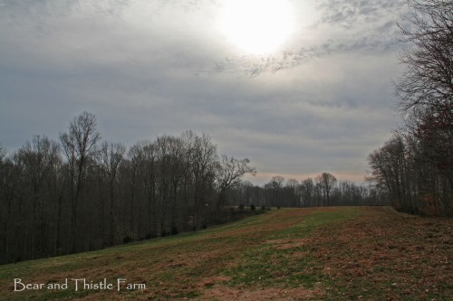 Dragging West Pasture